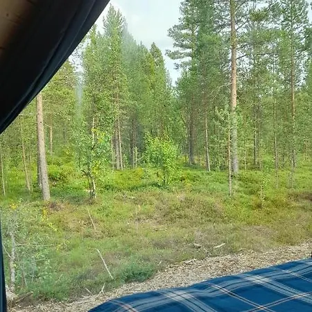 Trasti & Trine Boutique *