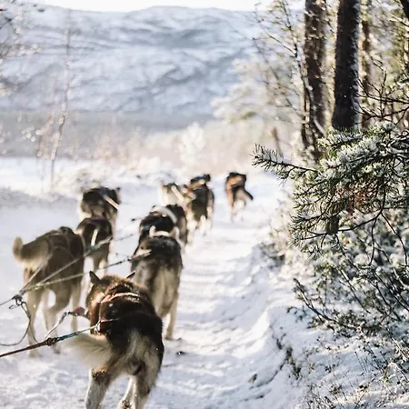 Trasti & Trine Boutique Alta