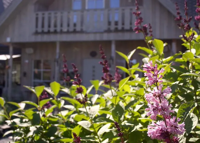 Trasti & Trine Boutique Деревянный коттедж Альта