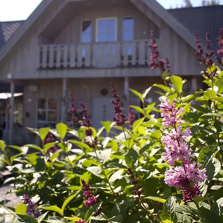 Trasti & Trine Boutique Lodge Alta